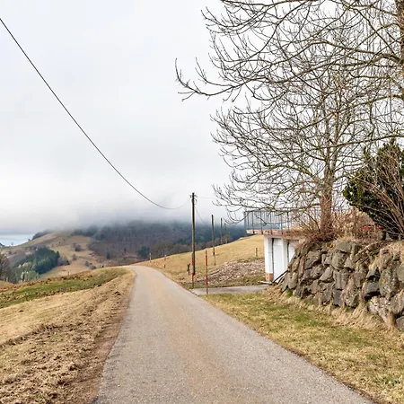 Appartement Hofidylle Münstertal